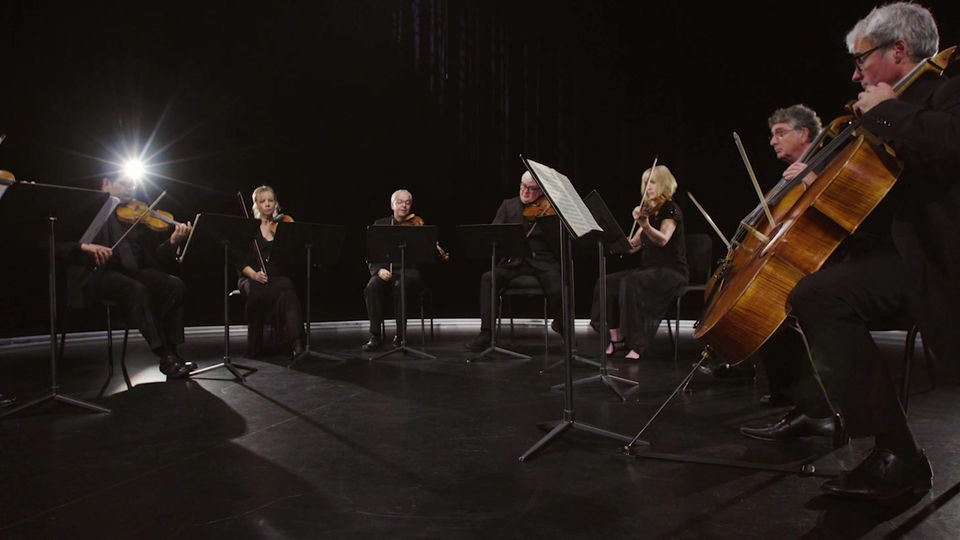 Introducing the Chamber Ensemble